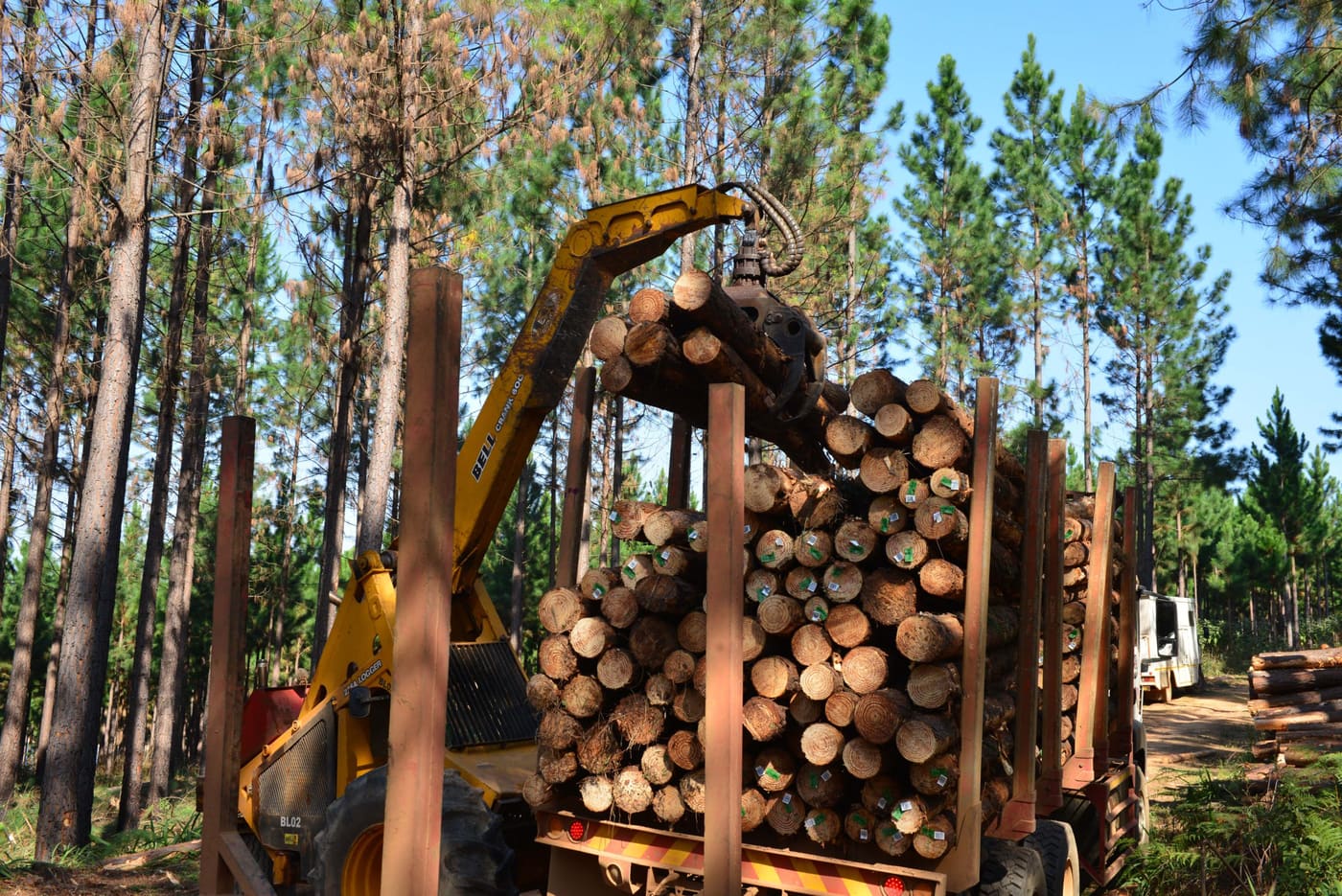 Wattle logs