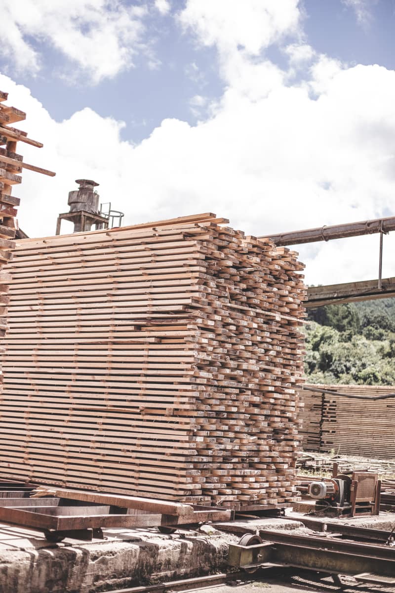 Timbadola sawmill kiln-dried lumber