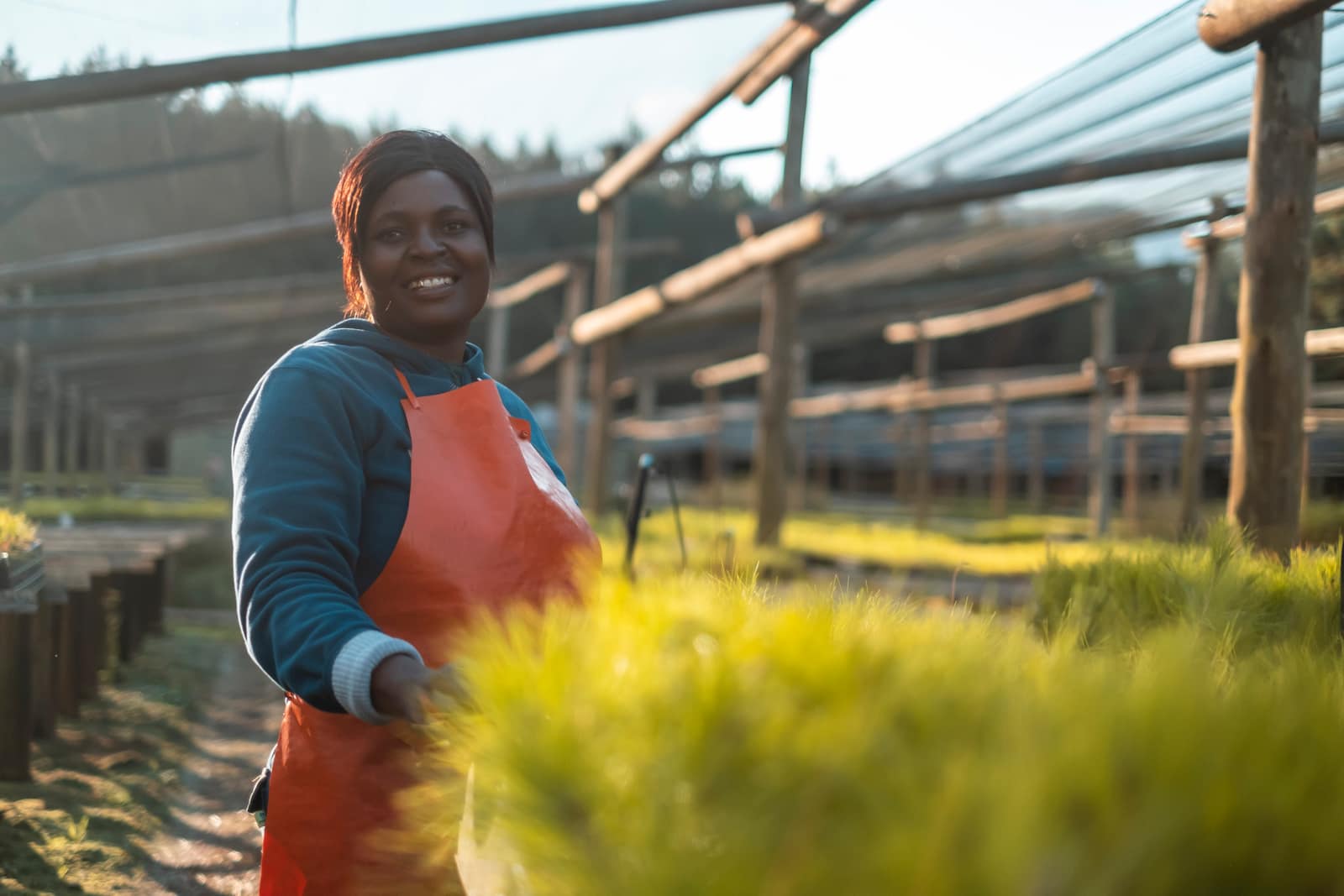 SAFCOL sustainability and stewardship
